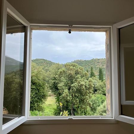 Appartement Soveria Εξωτερικό φωτογραφία